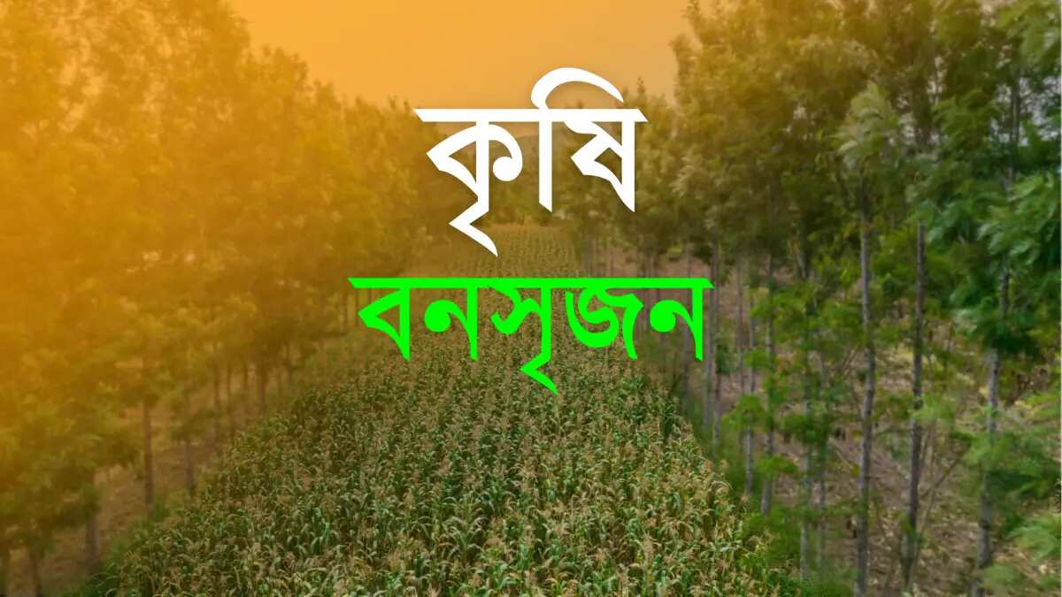 Agroforestry and Advantages and Disadvantages of Agroforestry