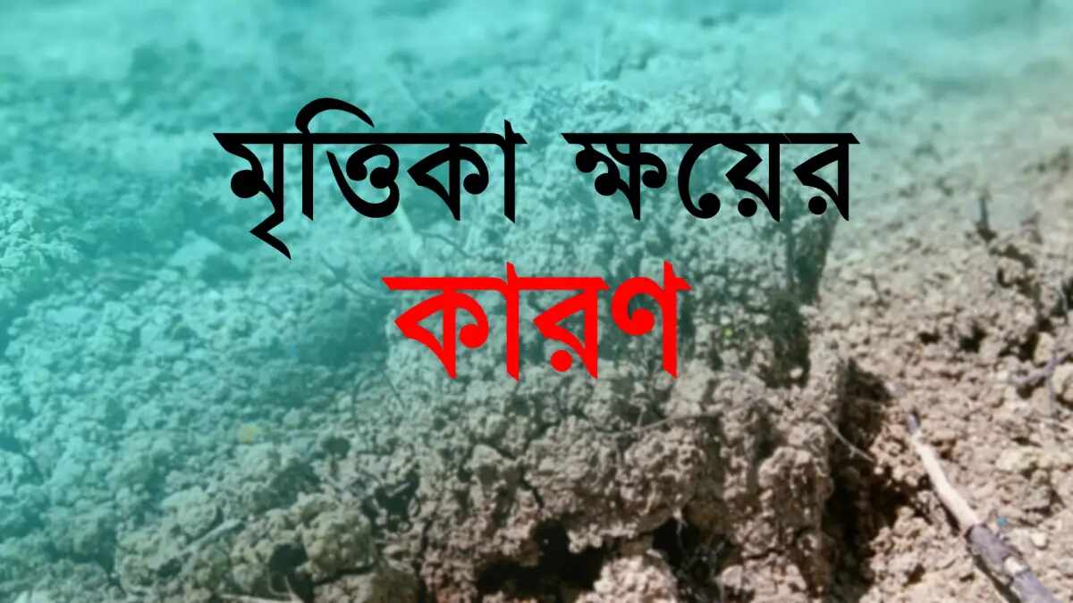 Causes Of Soil Erosion Geography