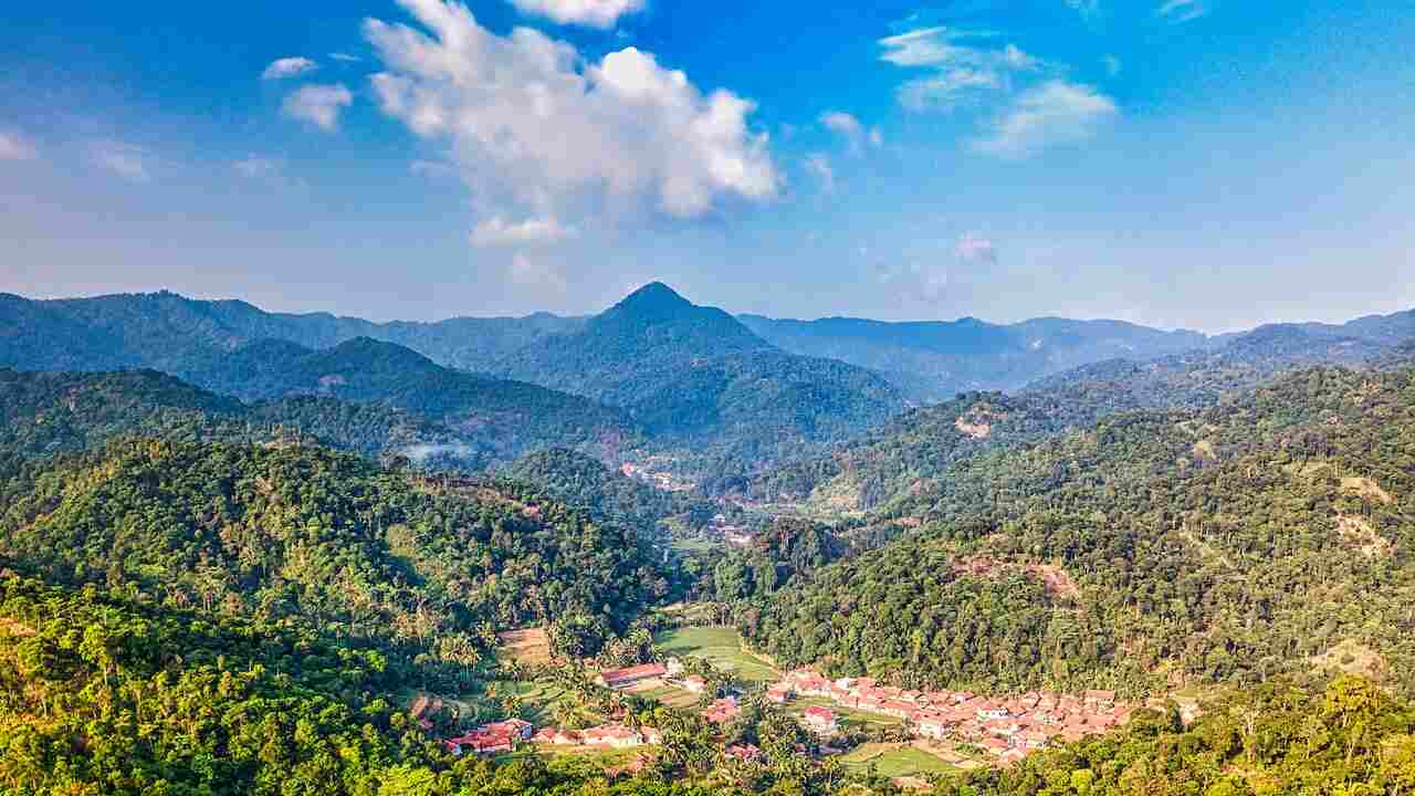Temperate Forests And Characteristics Of Temperate Forests